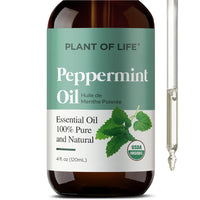 Plant of Life - 4oz Essential Oil