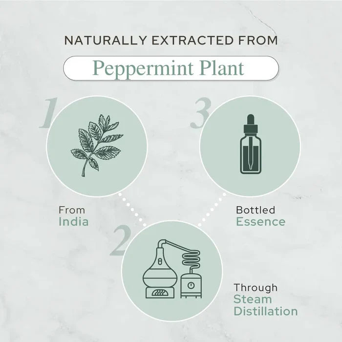 Plant of Life - 1oz Organic Essential Oil