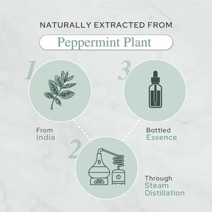 Plant of Life - 1oz Organic Essential Oil