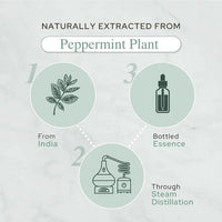 Plant of Life - 1oz Organic Essential Oil