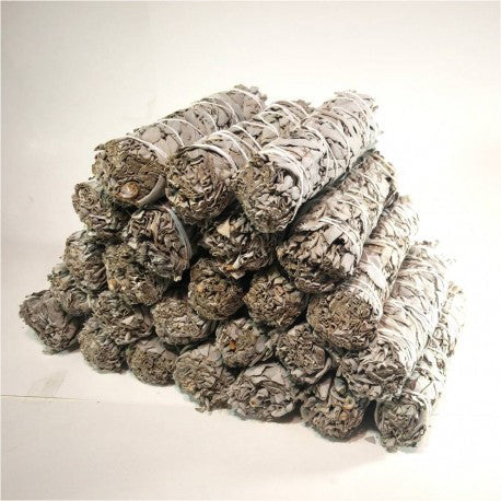 6" California White Sage Smudge Stick