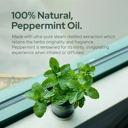 Plant of Life - 1oz Organic Essential Oil