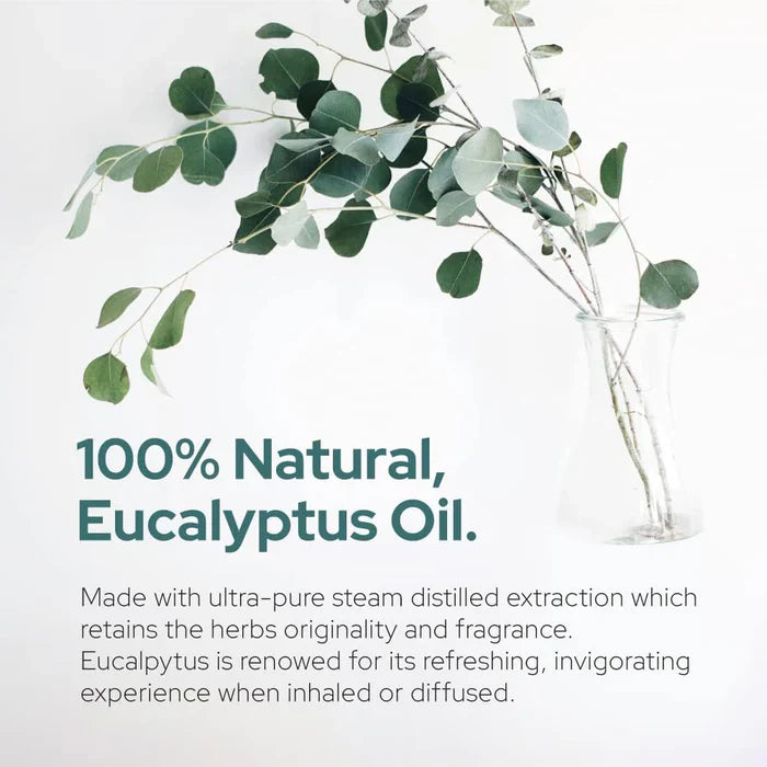 Plant of Life - 1oz Organic Essential Oil