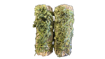4" White Sage & Mullein Smudge Stick