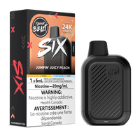 Flavour Beast SIX Disposable Vape 6mL
