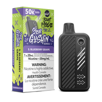Flavour Beast Mode MAX 2 Disposable Vape 20mL