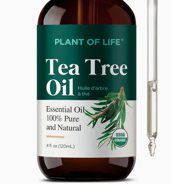 Plant of Life - 4oz Essential Oil
