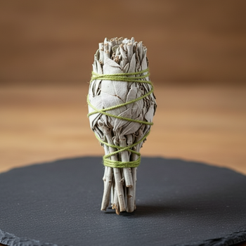 4" California White Sage Torch